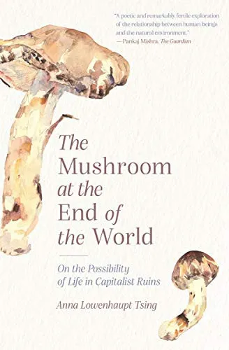 The Mushroom at the End of the World : On the Possibility of Life in Capitalist Ruins