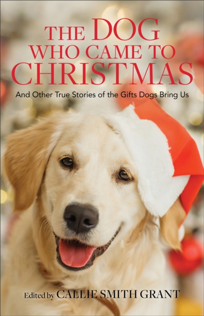 The Dog Who Came to Christmas – And Other True Stories of the Gifts Dogs Bring Us