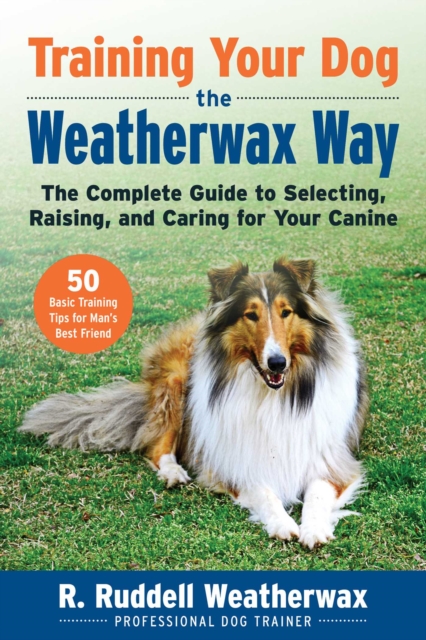 Training Your Dog the Weatherwax Way