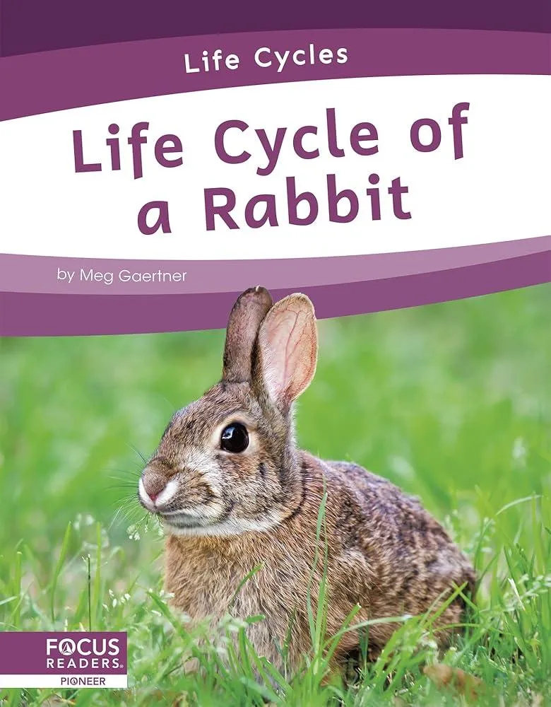 Life Cycle of a Rabbit