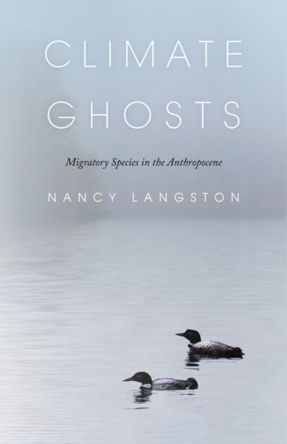 Climate Ghosts – Migratory Species in the Anthropocene