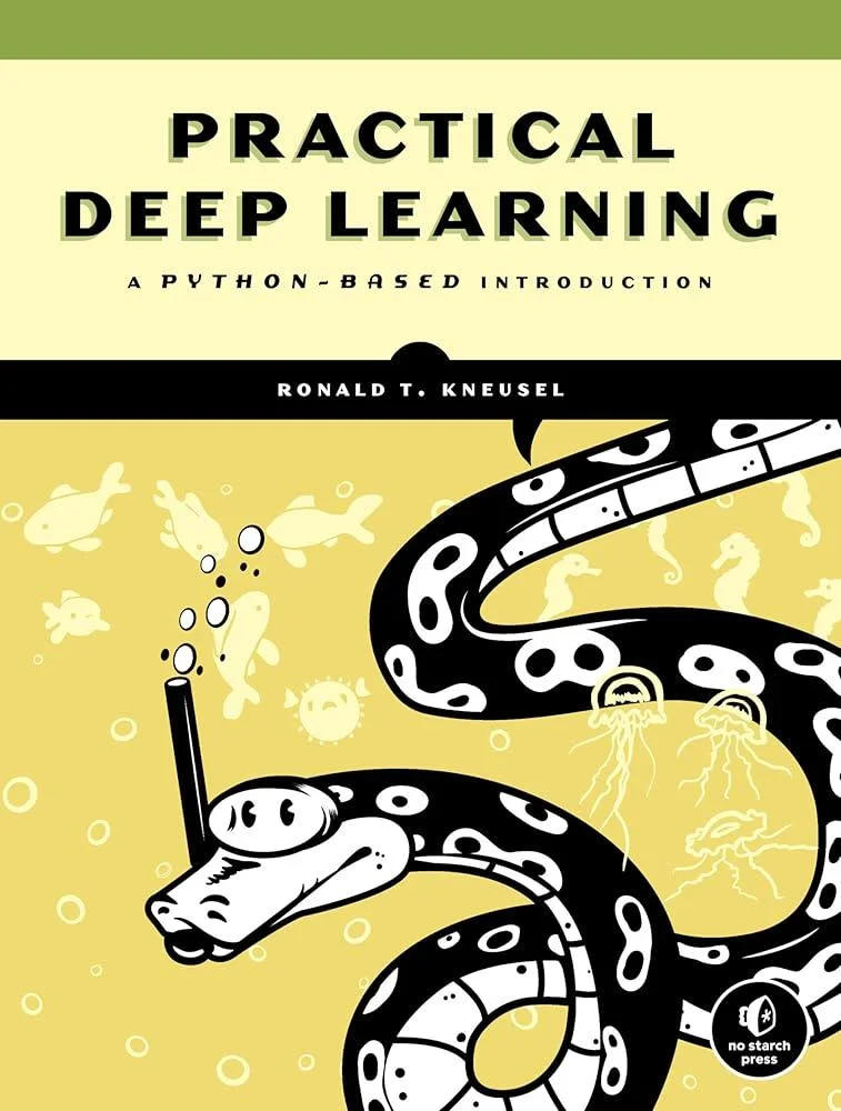 Practical Deep Learning : A Python-Based Introduction