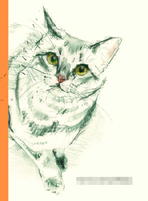 The Book of Cat Poems