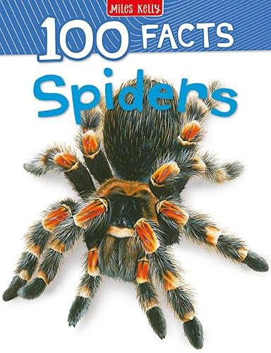 100 Facts Spiders