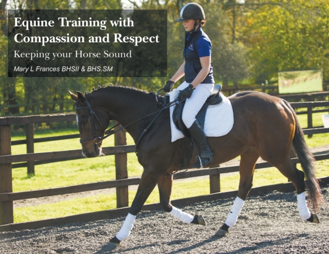 Equine Training with Compassion and Respect