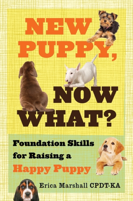 New Puppy, Now What? Foundation Skills for Raising a Happy Puppy