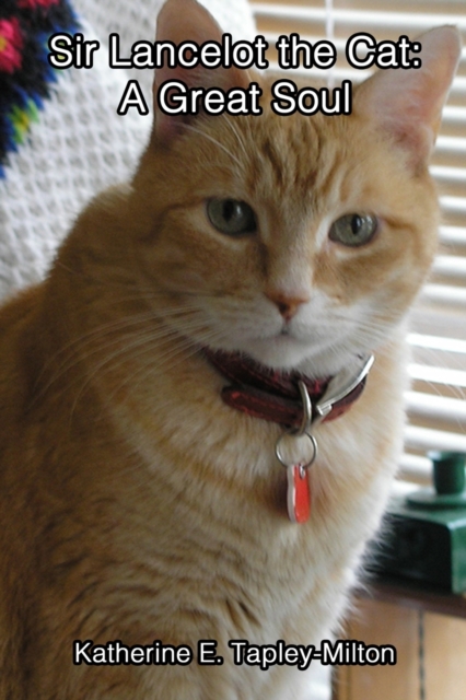 Sir Lancelot the Cat