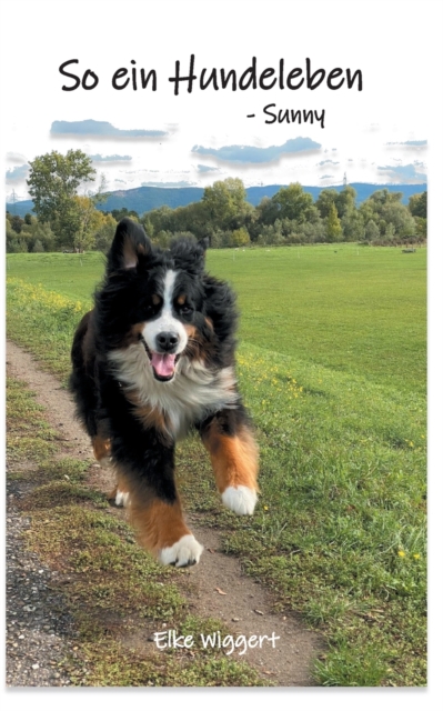 So ein Hundeleben