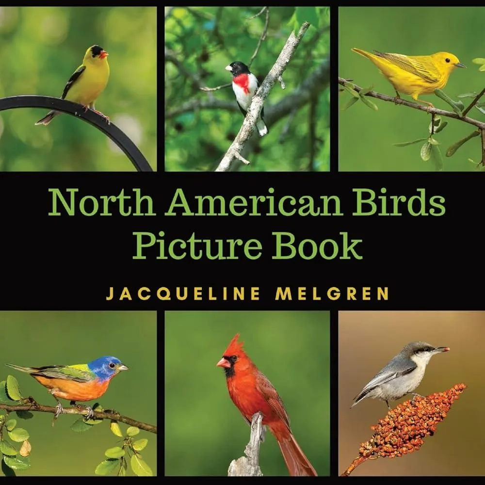 North American Birds Picture Book : Dementia Activities for Seniors (30 Premium Pictures on 70lb Paper With Names)