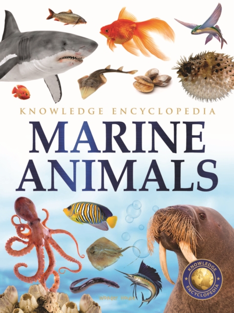 Animals - Marine Animals