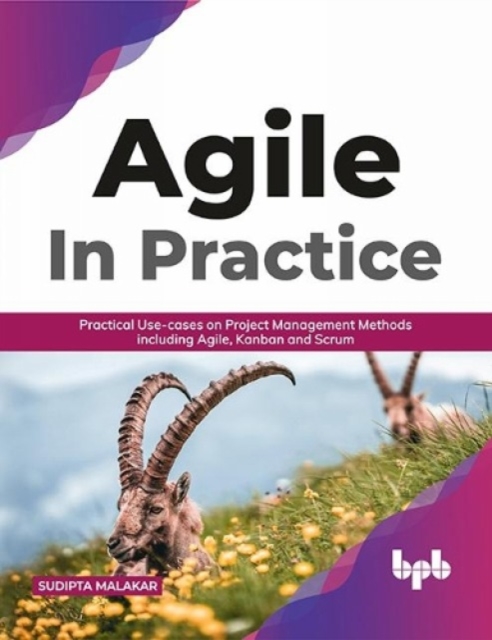 AGILE in Practice