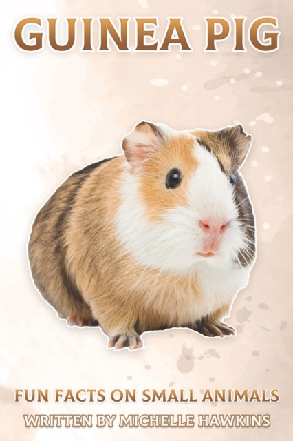 Guinea Pig