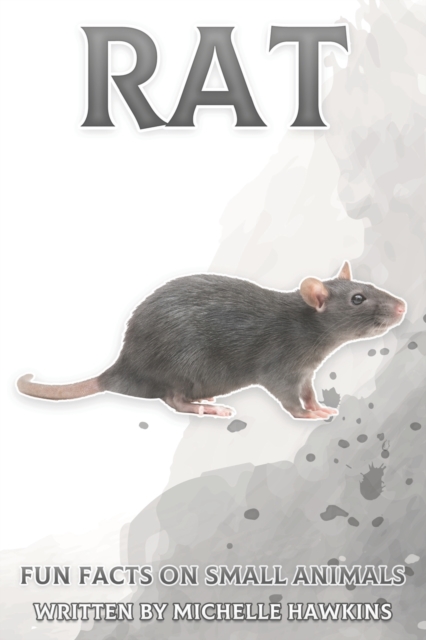 Rat