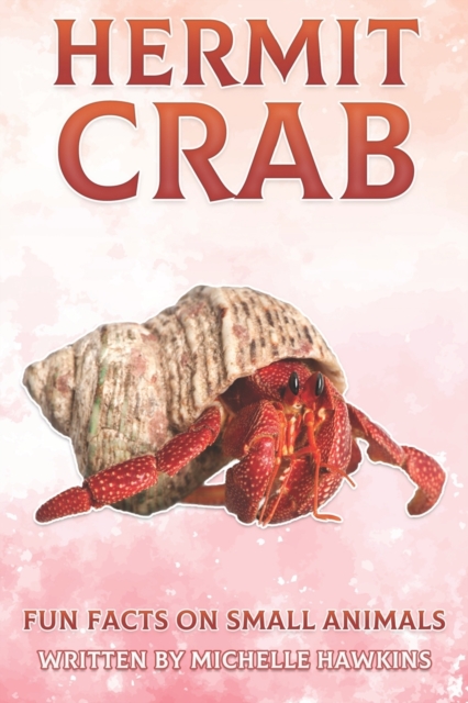 Hermit Crab