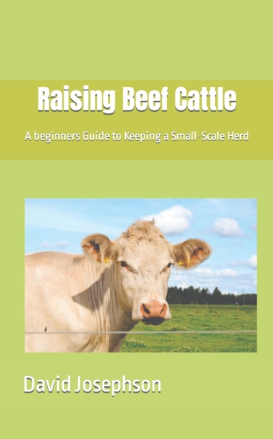 Raising Beef Cattle