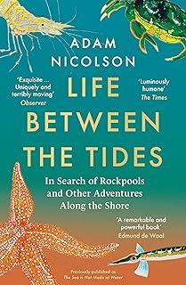 Life Between the Tides : In Search of Rockpools and Other Adventures Along the Shore