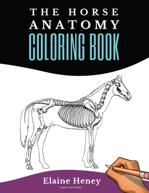 Horse Anatomy Coloring Book For Adults