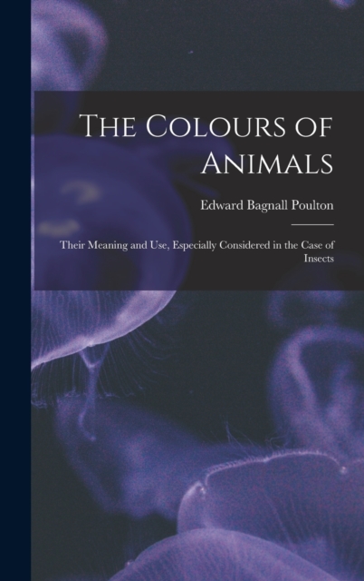 The Colours of Animals