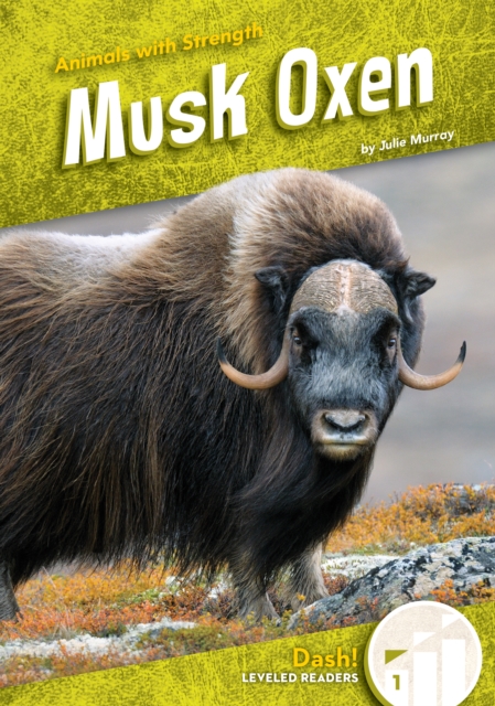 Musk Oxen