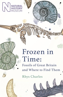 Frozen in Time