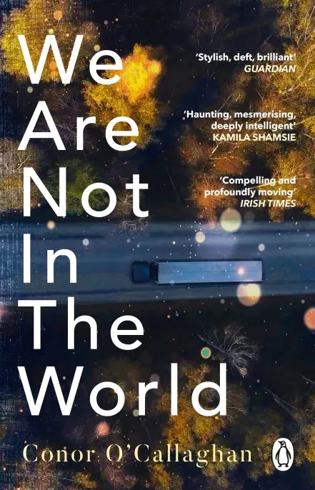 We Are Not in the World : ‘compelling and profoundly moving’ Irish Times