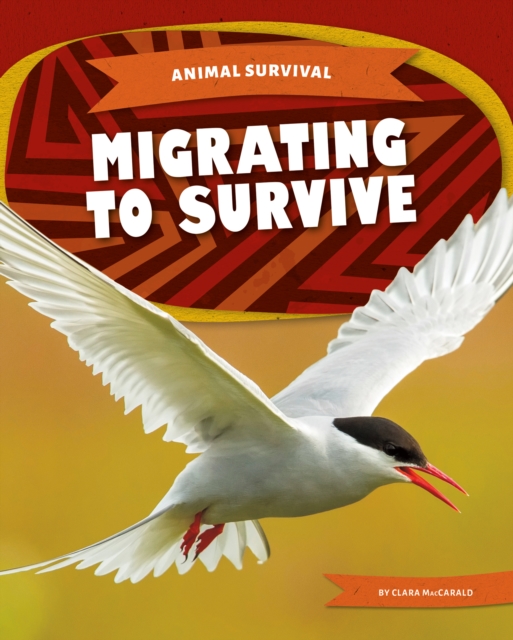 Migrating to Survive