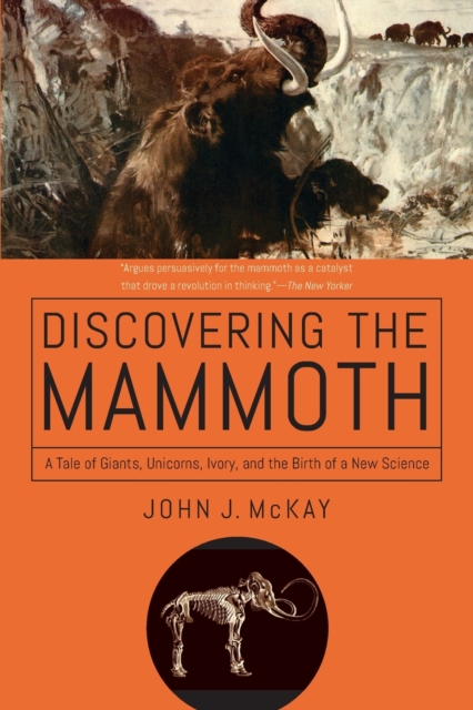 Discovering the Mammoth