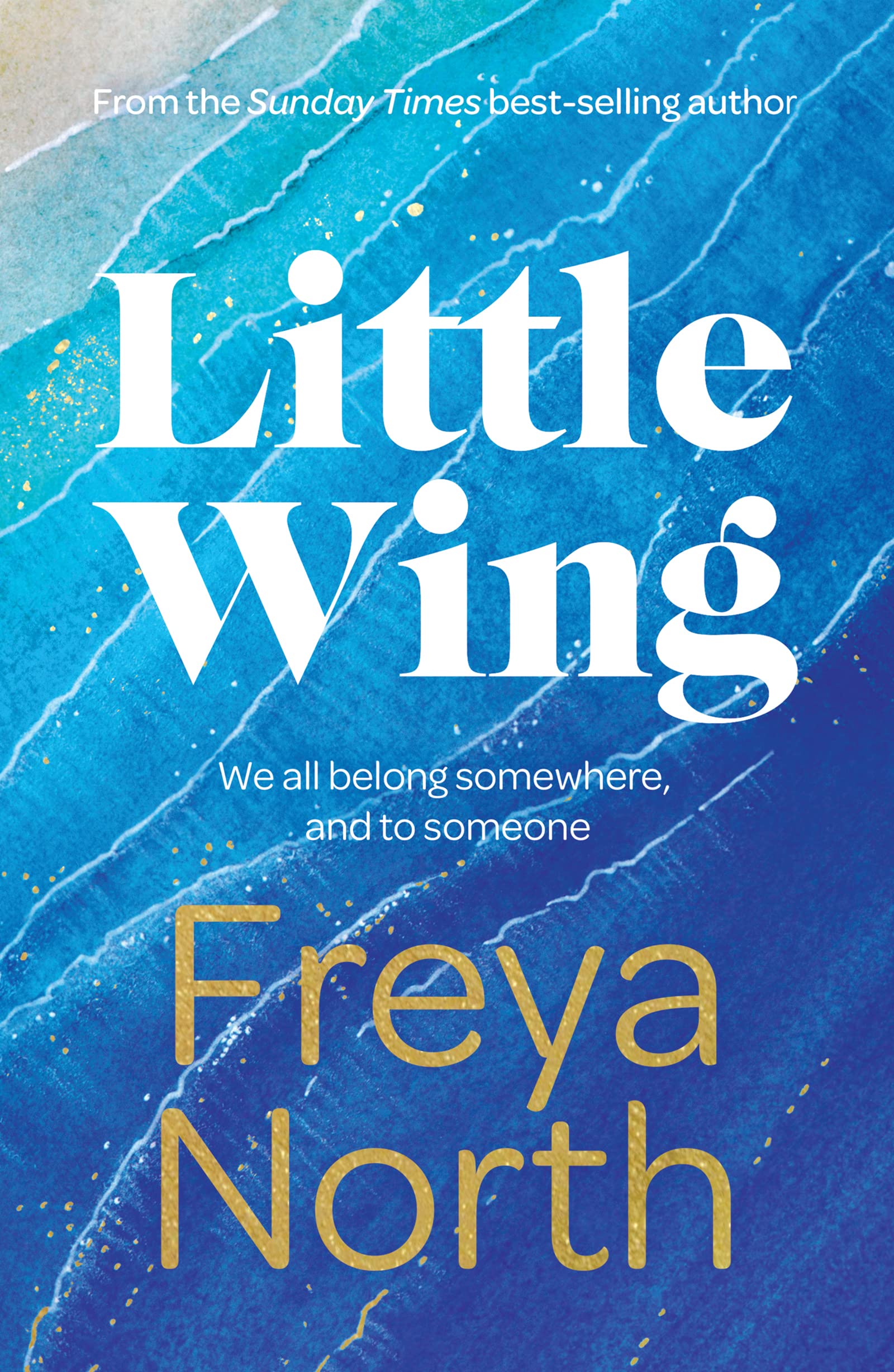 Little Wing : A beautifully written, emotional and heartwarming story