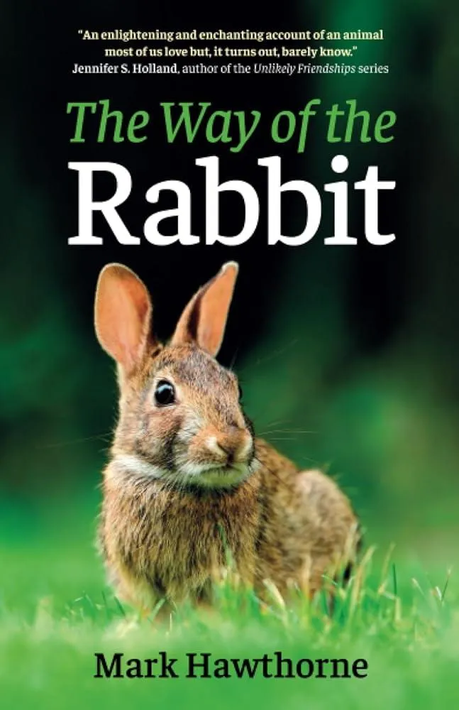 Way of the Rabbit, The