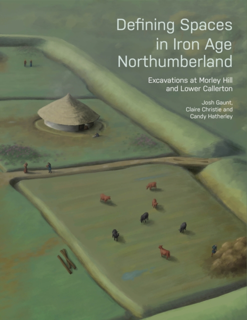 Defining Spaces in Iron Age Northumberland