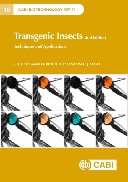 Transgenic Insects