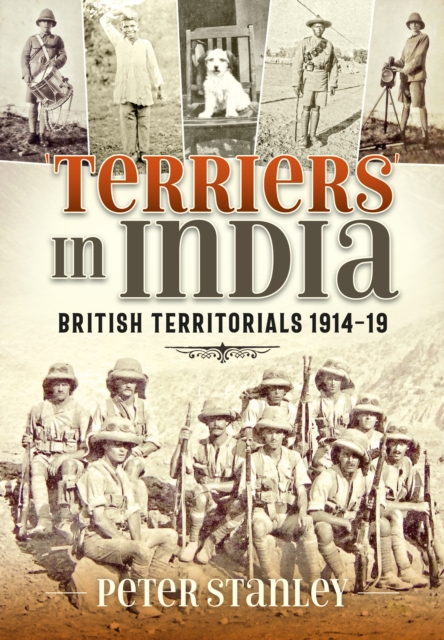 Terriers in India