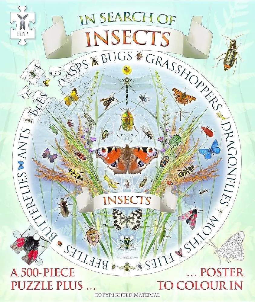 In Search of Insects Jigsaw and Poster