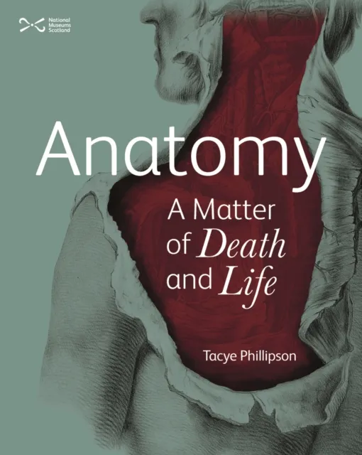 Anatomy
