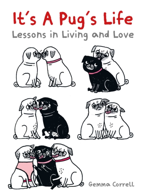 It's a Pug's Life