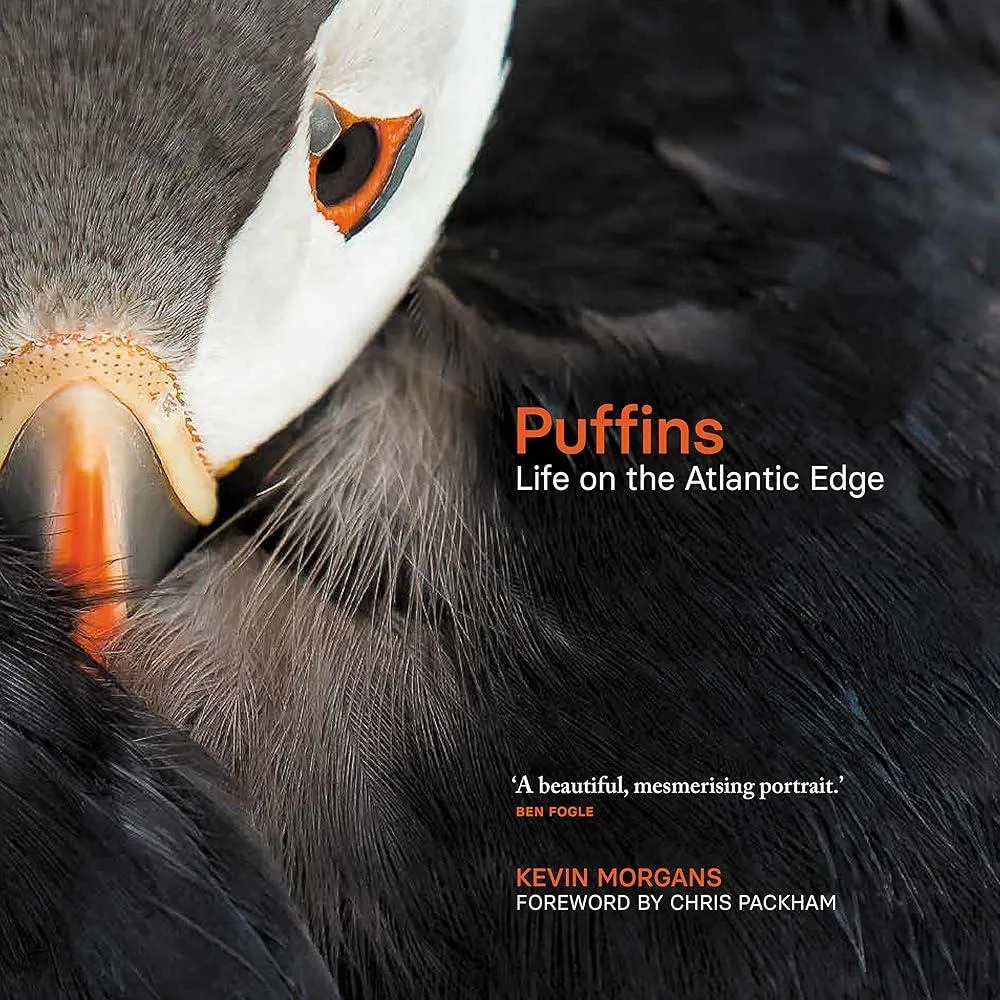 Puffins : Life on the Atlantic Edge