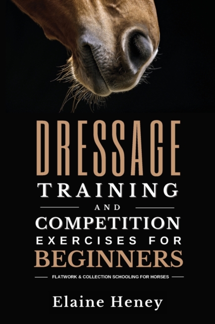 Dressage training and competition exercises for beginners