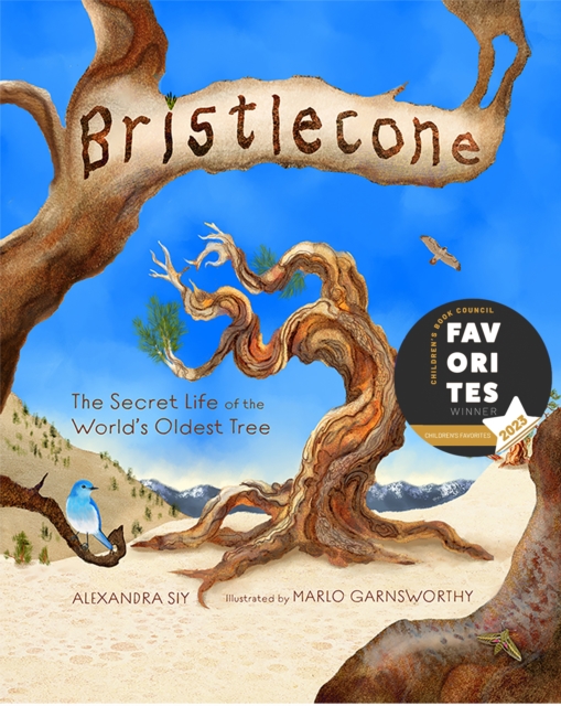Bristlecone