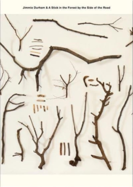 Jimmie Durham & A Stick in the Forest by the Side of the Road