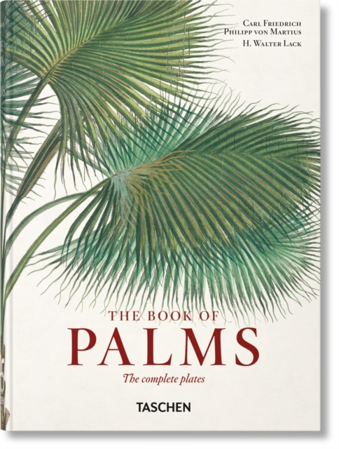 Martius. The Book of Palms. 45th Ed.