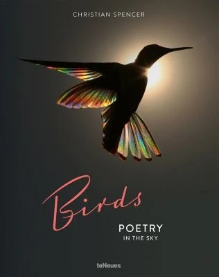 Birds : Poetry in the Sky