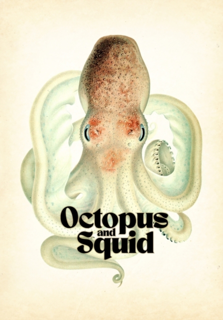 Octopus & Squid