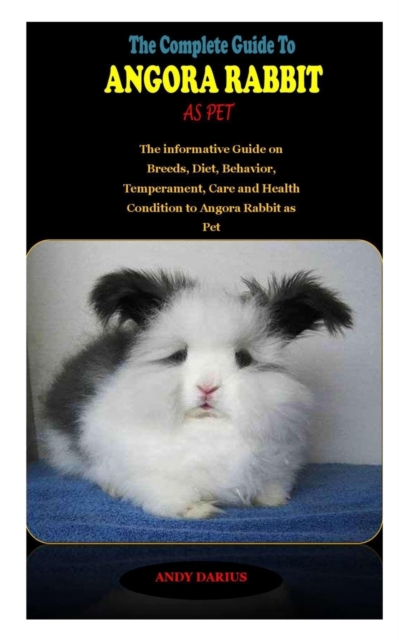 The Complete Guide to Angora Rabbit as Pet