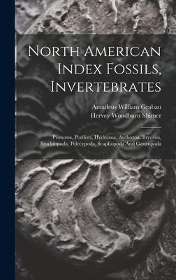 North American Index Fossils, Invertebrates