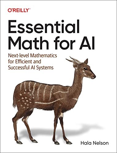 Essential Math for AI : Next-Level Mathematics for Efficient and Successful AI Systems