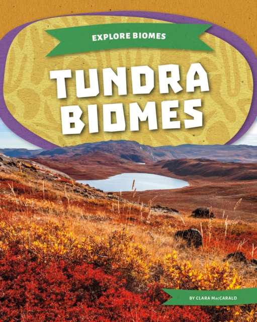 Tundra Biomes