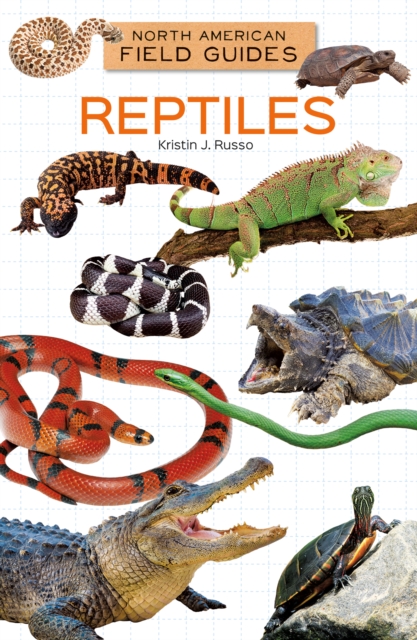 Reptiles