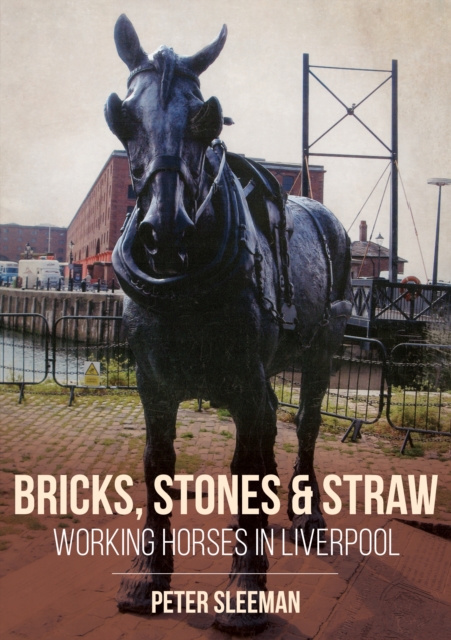 Bricks, Stones and Straw
