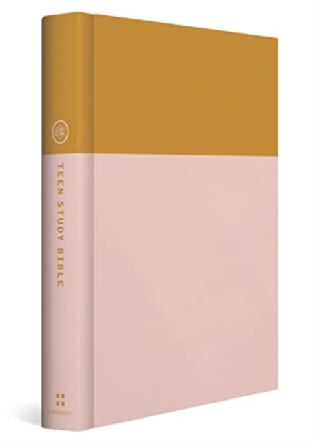 ESV Teen Study Bible