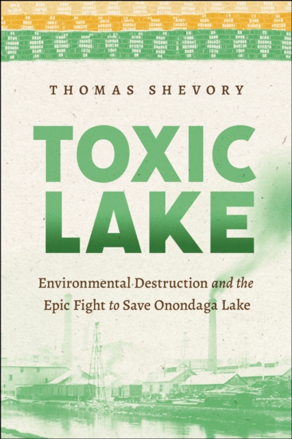 Toxic Lake